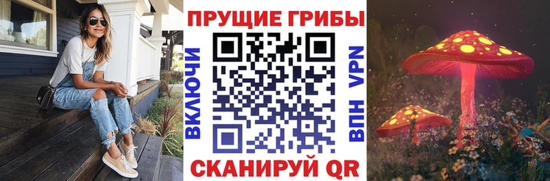 Псилоцибиновые грибы мухоморы Альметьевск